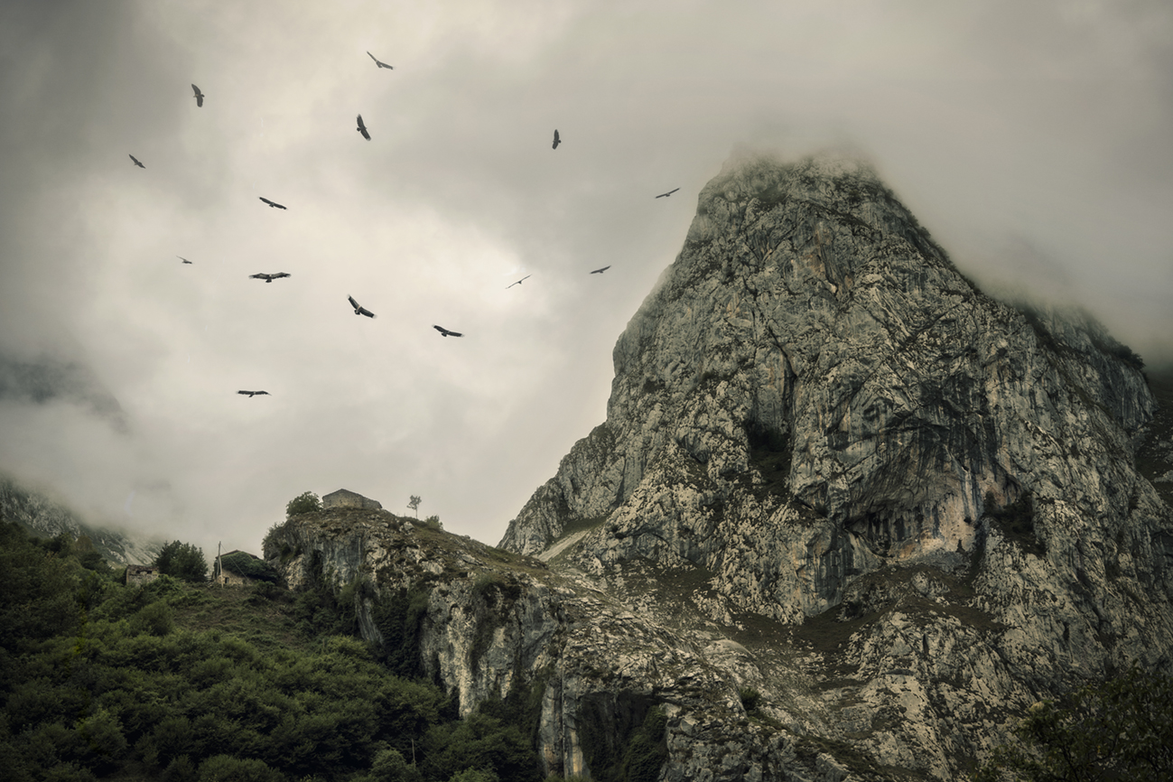 The Wind beneath the Wings